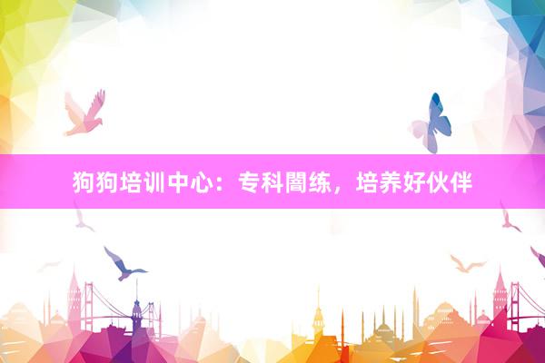 狗狗培训中心：专科闇练，培养好伙伴