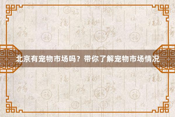 北京有宠物市场吗？带你了解宠物市场情况