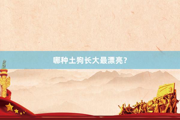 哪种土狗长大最漂亮？